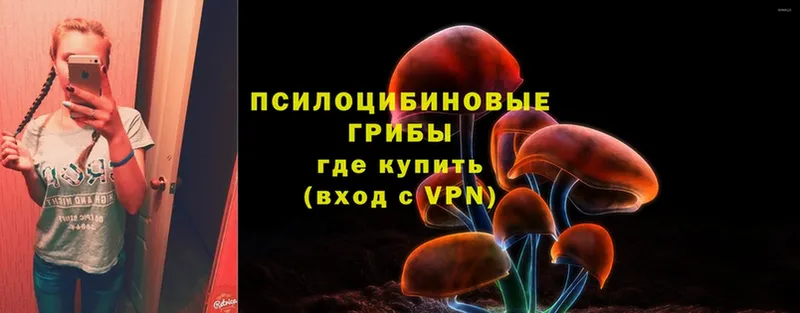 Магазины продажи наркотиков Шагонар А ПВП  МЕФ  Бошки Шишки 